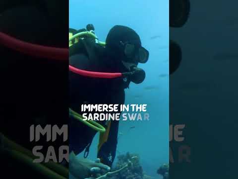Discover Cebu&#039;s breathtaking wonders!