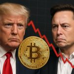 Bitcoin Plunges Amid Trump-Musk Social Media Feud: Experts Predict Next Price Explosion